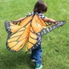 Butterfly Wings: Orange