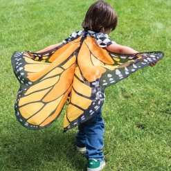 Butterfly Wings: Orange