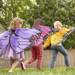 Butterfly Wings: Orange