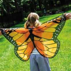 Butterfly Wings: Orange