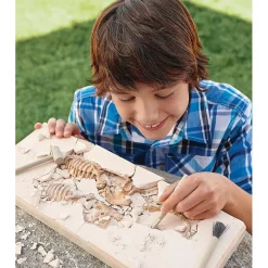Dig It Up! Dino Model: Triceratops
