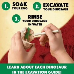 Dig It Up! Dinosaur Eggs