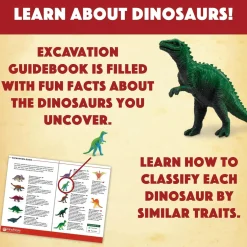 Dig It Up! Dinosaur Eggs