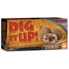 Dig It Up! Dino Skeletons