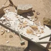 Dig It Up! Tyrannosaurus Rex 3D Skeleton Excavation Kit