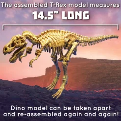 Dig It Up! Tyrannosaurus Rex 3D Skeleton Excavation Kit