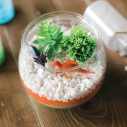 Make Your Own Dinosaur Habitat