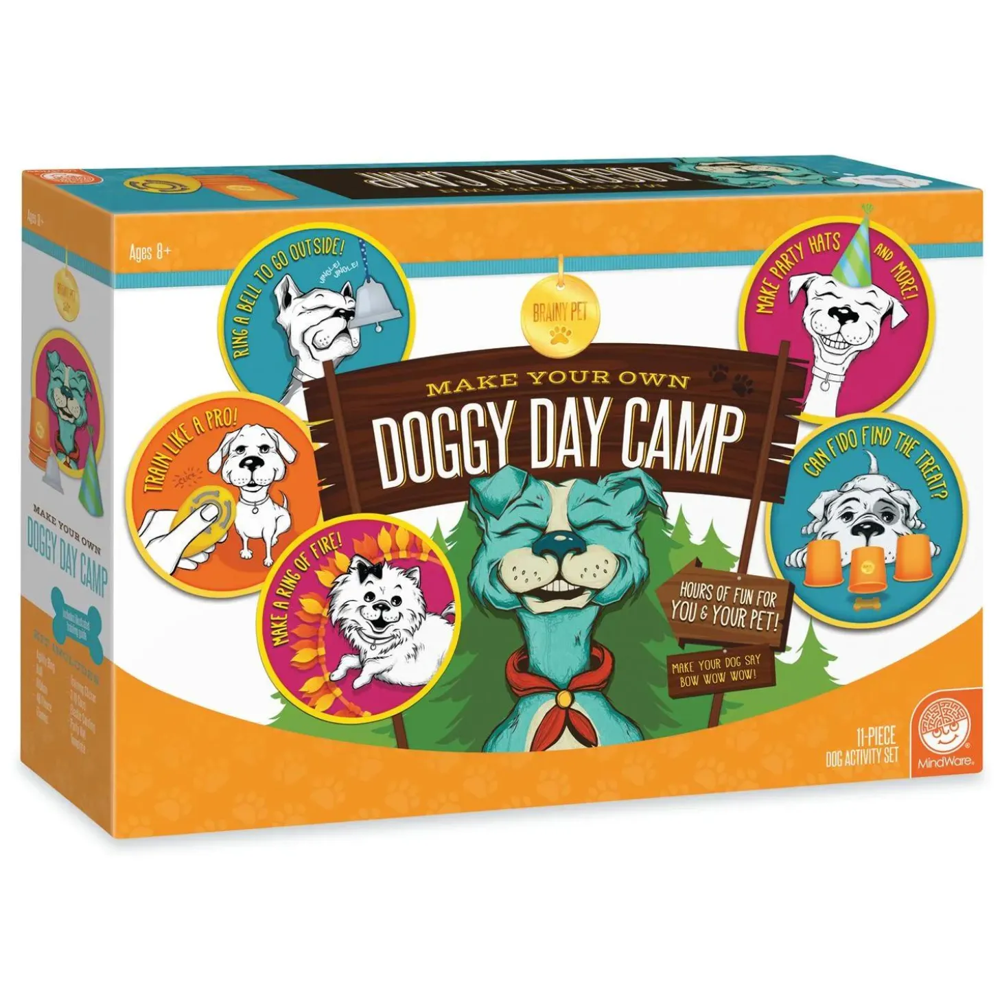 Make Your Own Doggy Day Camp