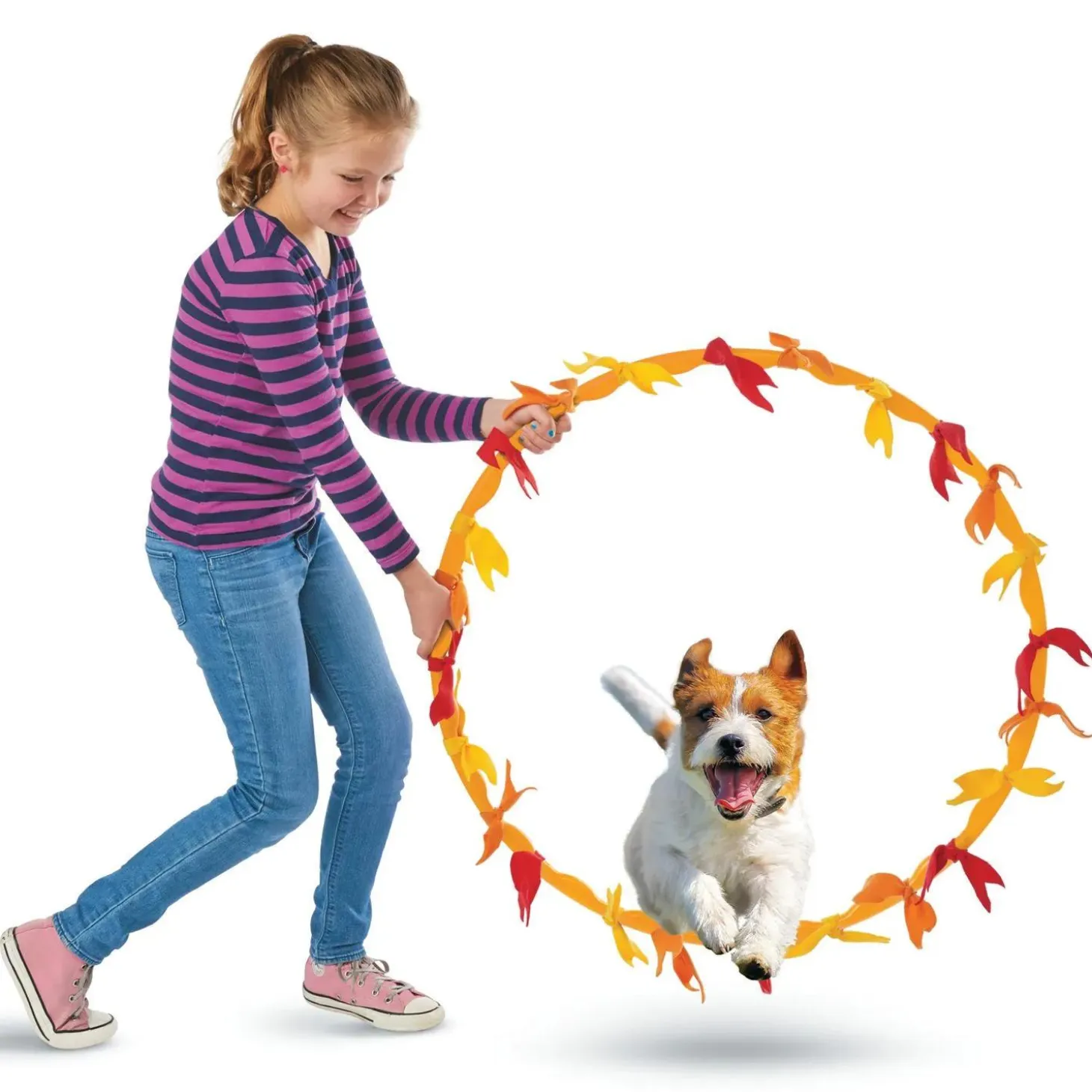 Make Your Own Doggy Day Camp