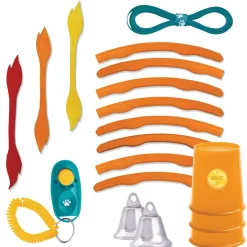 Make Your Own Doggy Day Camp