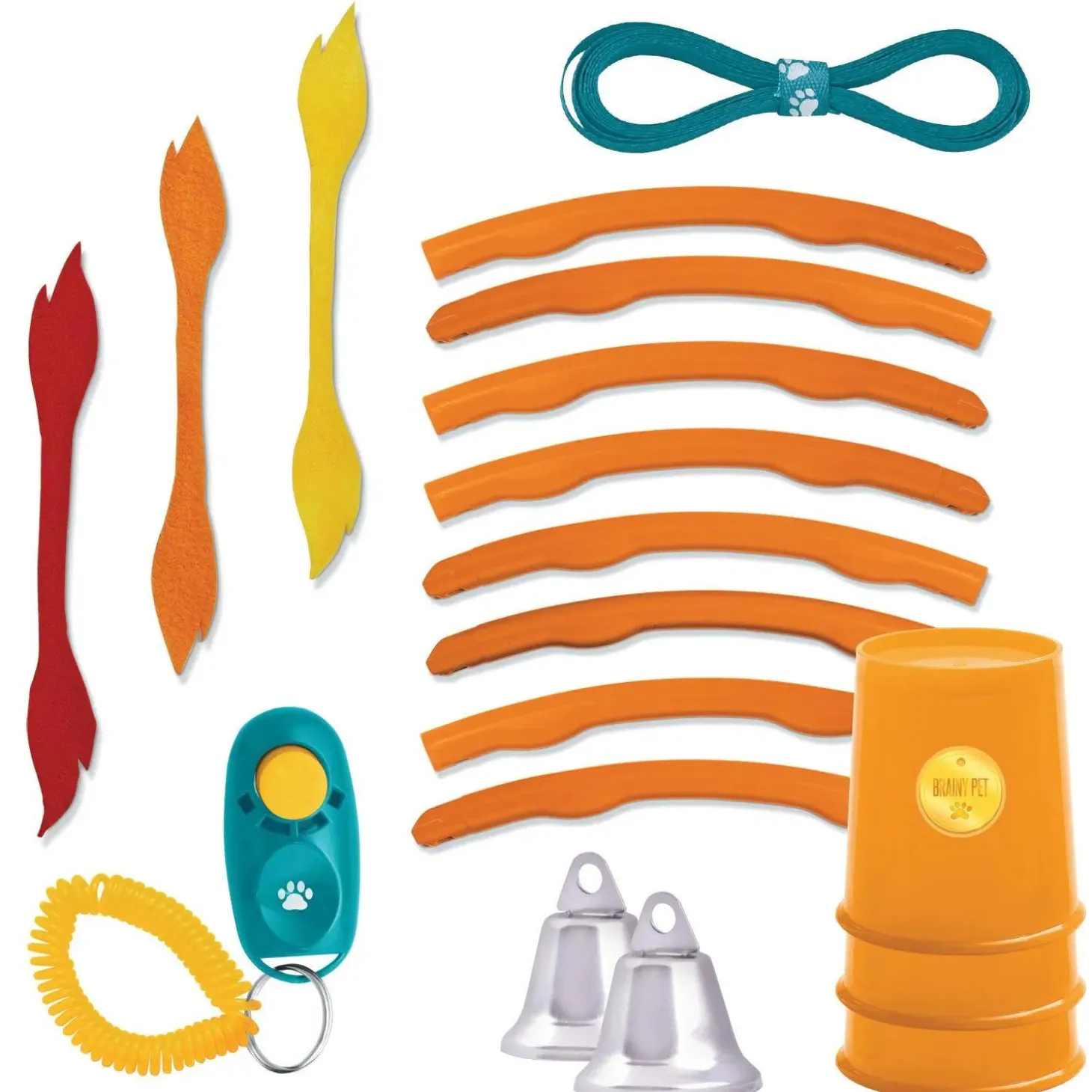 Make Your Own Doggy Day Camp
