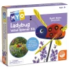 Make Your Own Ladybug Wind Spinner Craft Kit