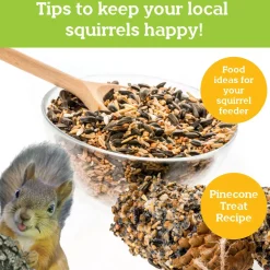 Make Your Own Squirrel Feeder