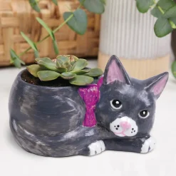 Paint Your Own Porcelain Cat Dish