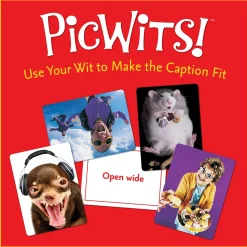 PicWits!™