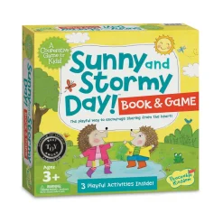 Sunny and Stormy Day Social Emotional Learning Game