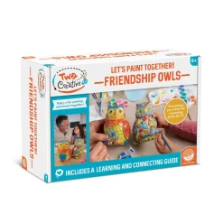 Two Creative Friendship Owls Stone Décor Painting Craft Kit for Two