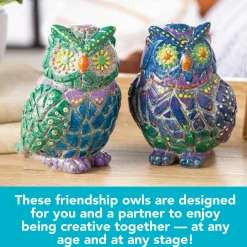 Two Creative Friendship Owls Stone Décor Painting Craft Kit for Two
