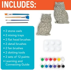Two Creative Friendship Owls Stone Décor Painting Craft Kit for Two